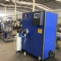 環保蒸汽鍋爐報價 廠家