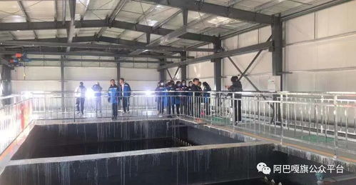 走進污水處理廠 錫林郭勒盟阿巴嘎旗開展環(huán)保設施向公眾開放活動